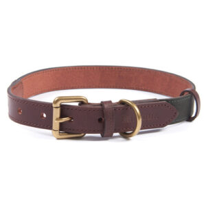 Barbour Wax Leather Dog Collar in Olive Medium