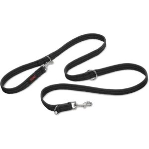 HALTI Training Lead for Dogs Large