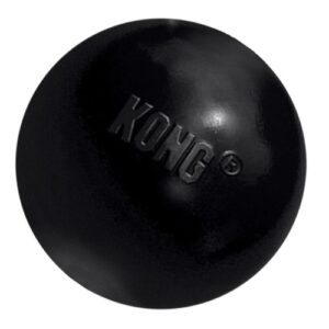 KONG Extreme Ball Dog Toy Medium Large